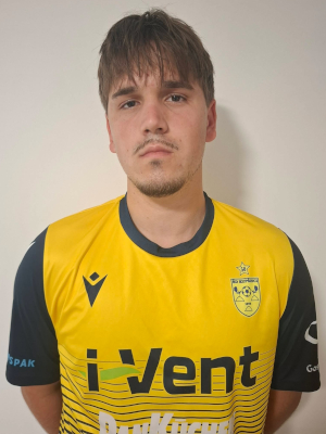 Picture of Nenad Ignjič 
